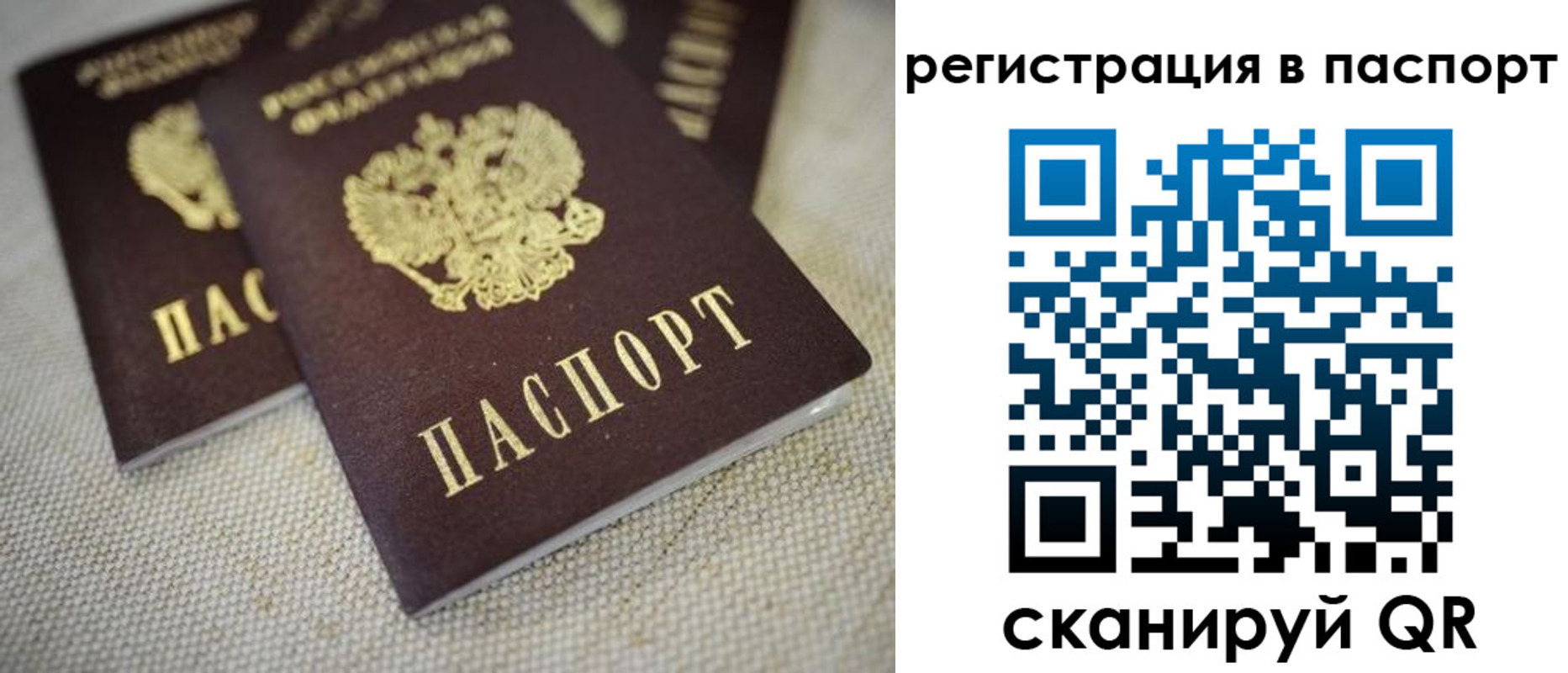 прописка гарантия в Копейске